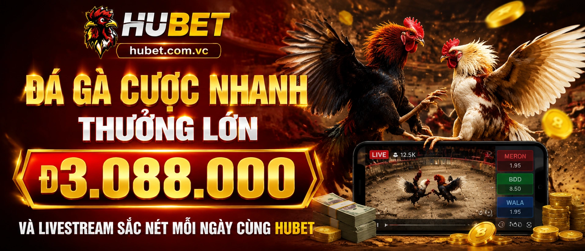 banner-3